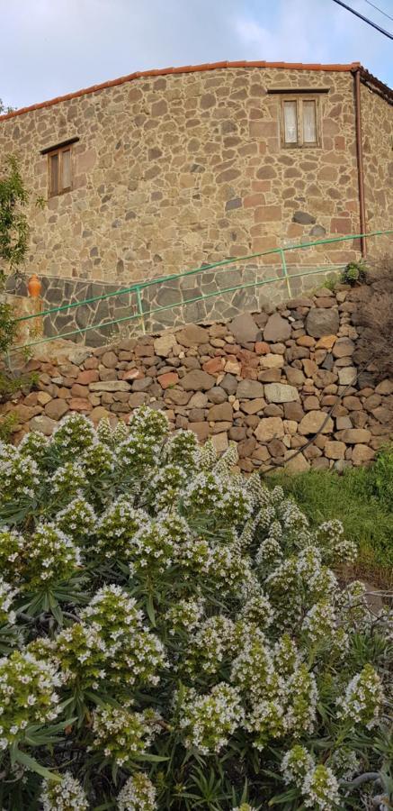Vila El Rinconcito De Tejeda Exteriér fotografie